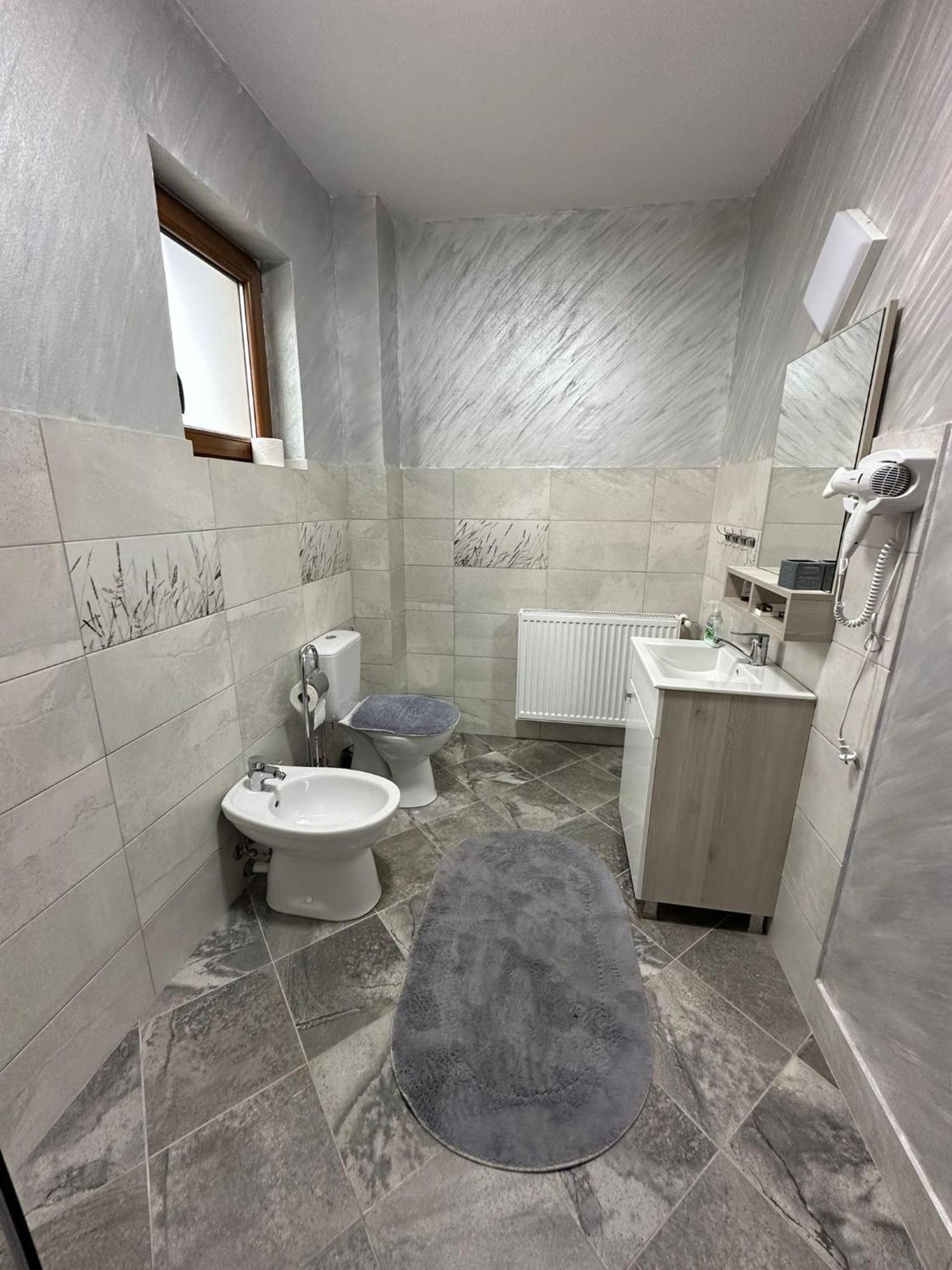 Casa Dacului Hotel Petrova Eksteriør billede